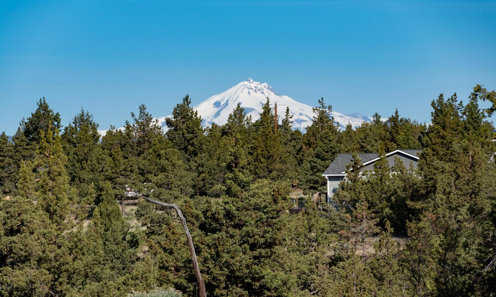 6215 SW Marmot Ct_0014 rs 2
