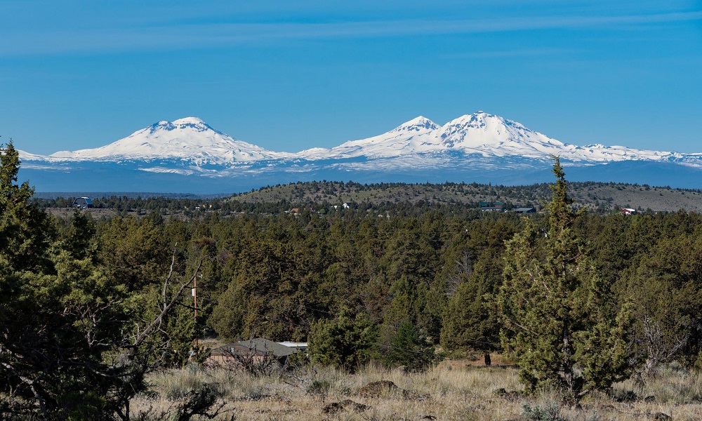 6215 SW Marmot Ct_0016 rs 4